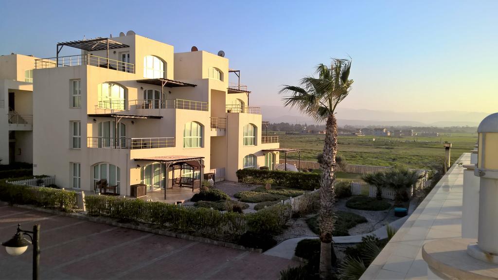Aphrodite Beachfront Penthouse Apartment Ghaziveran Екстериор снимка