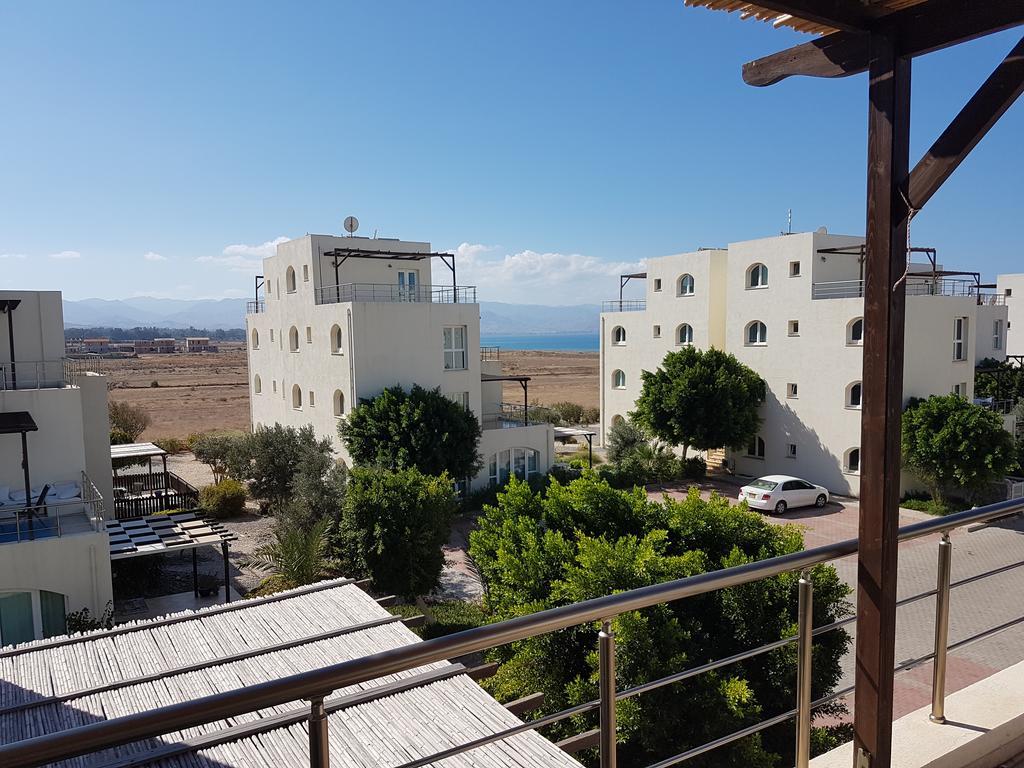 Aphrodite Beachfront Penthouse Apartment Ghaziveran Екстериор снимка